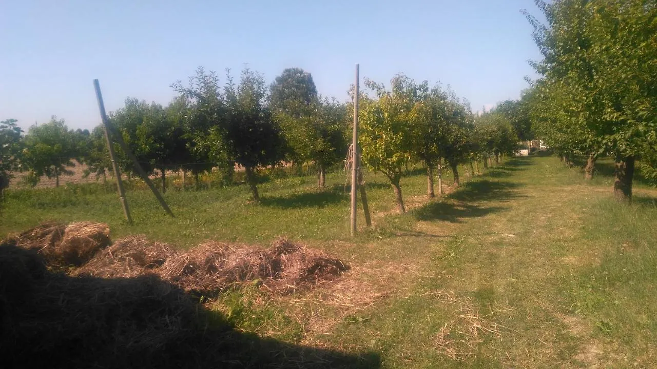 Farma Agriturismo Taglio Del Re Jesolo