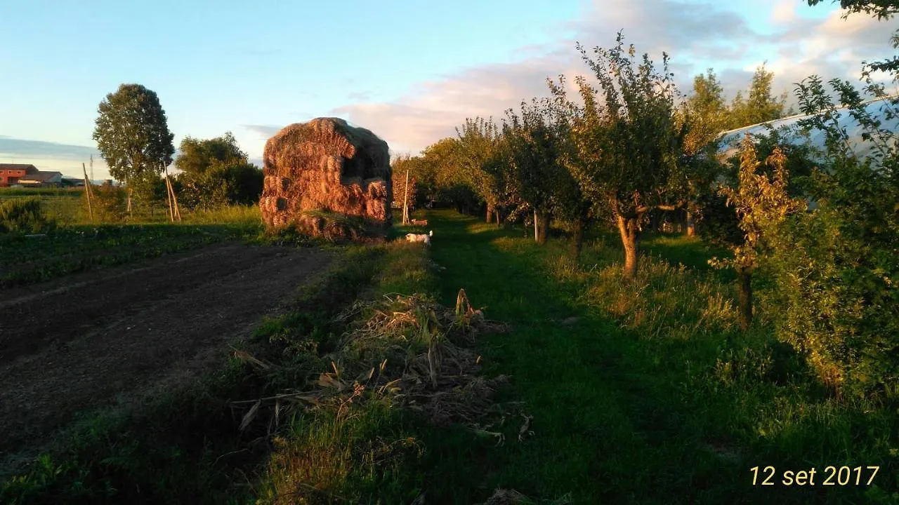 Agriturismo Taglio Del Re Jesolo Farma