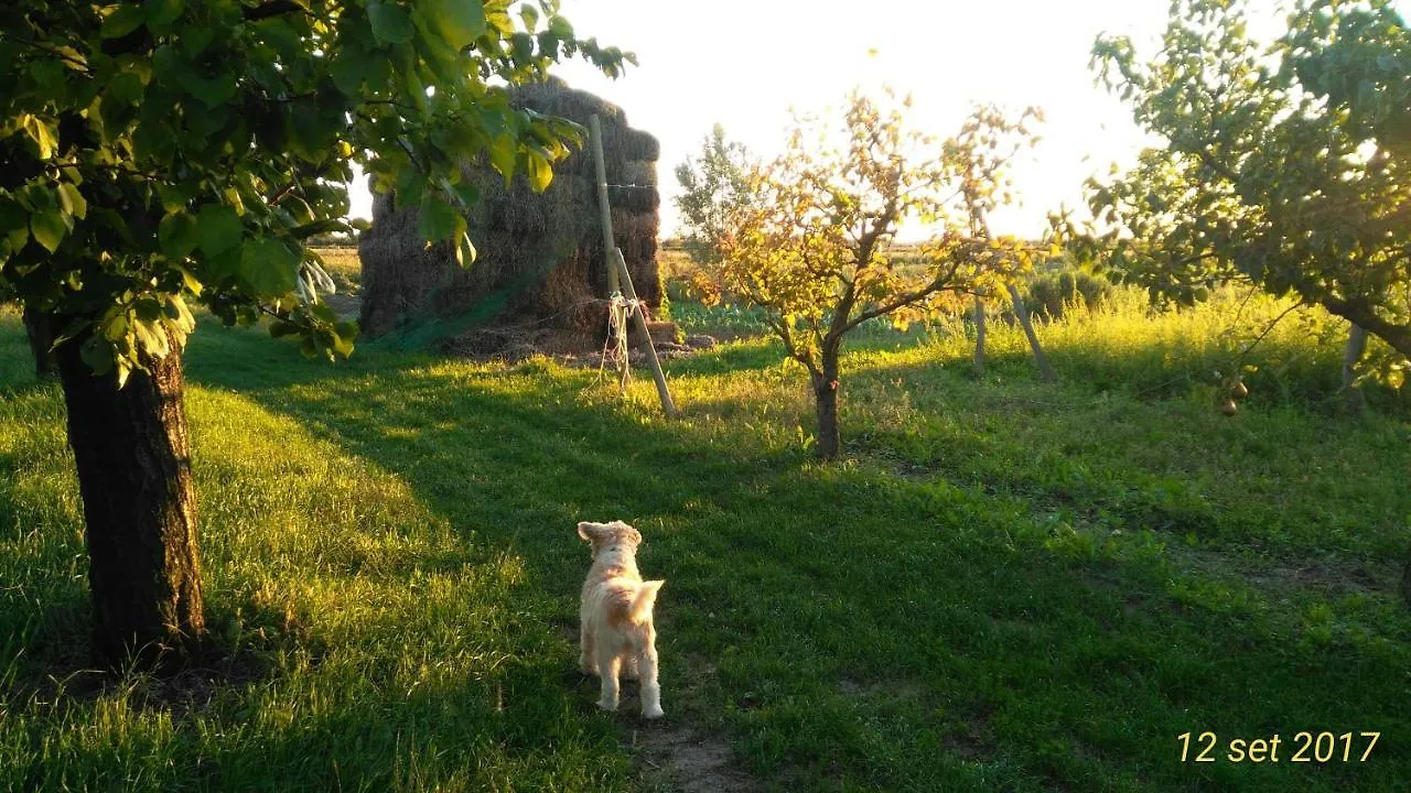 Agriturismo Taglio Del Re Jesolo